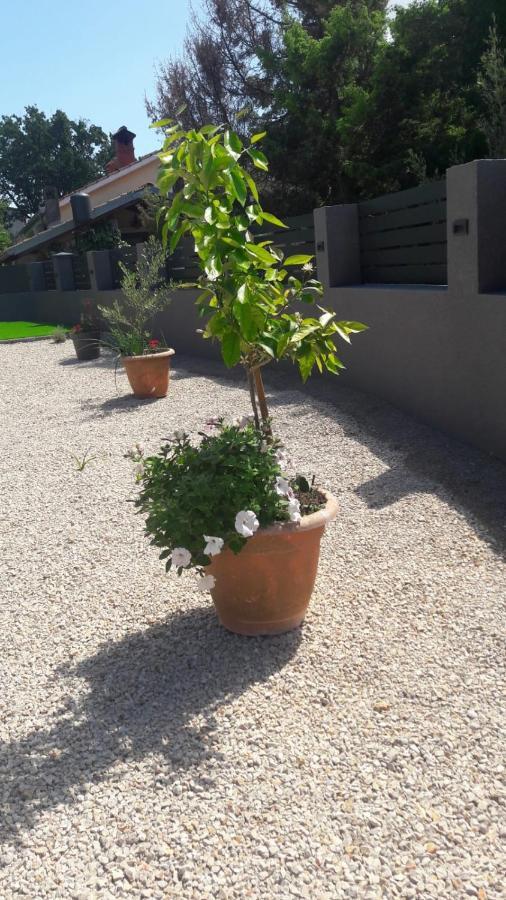 Apartman Nicolle Brzac Exterior foto